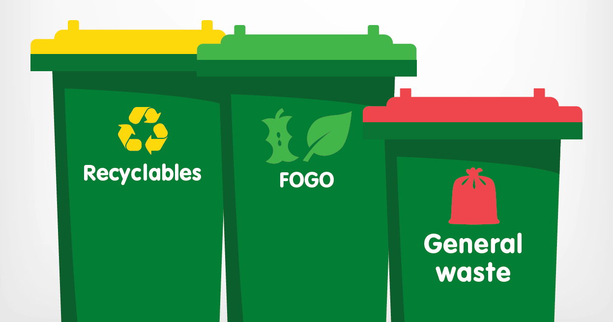 What goes in each bin? Image