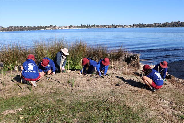 Foreshore Image