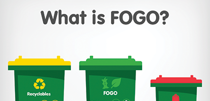 FOGO FAQs Image