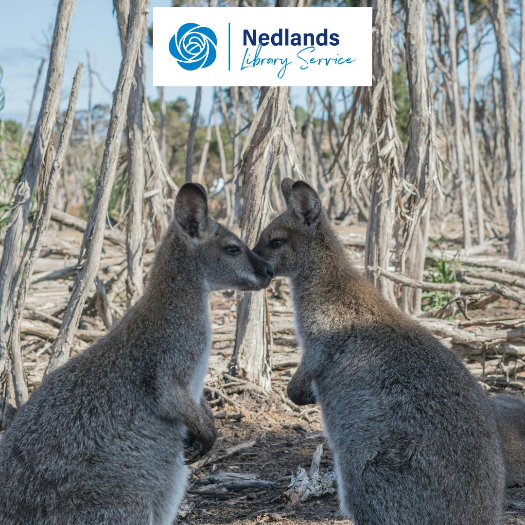 Australian Animal Headbands @ Nedlands Library