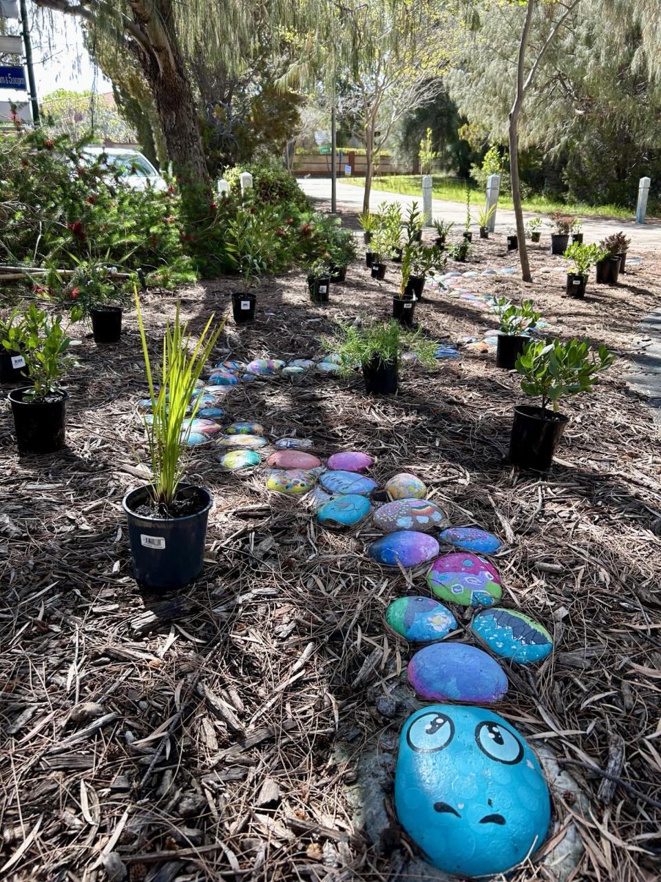 New native garden enhances Mount Claremont Community Centre
