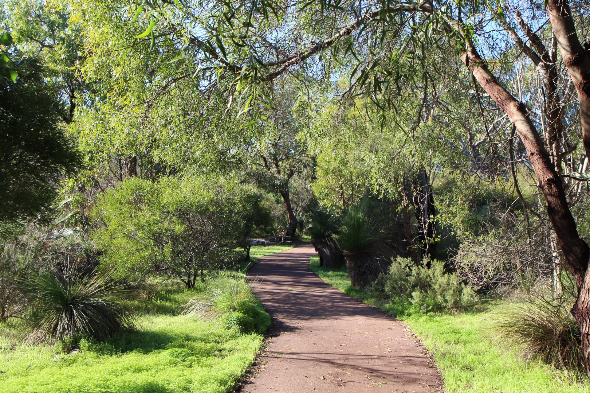 Temporary Closure – Hollywood Reserve Bushland