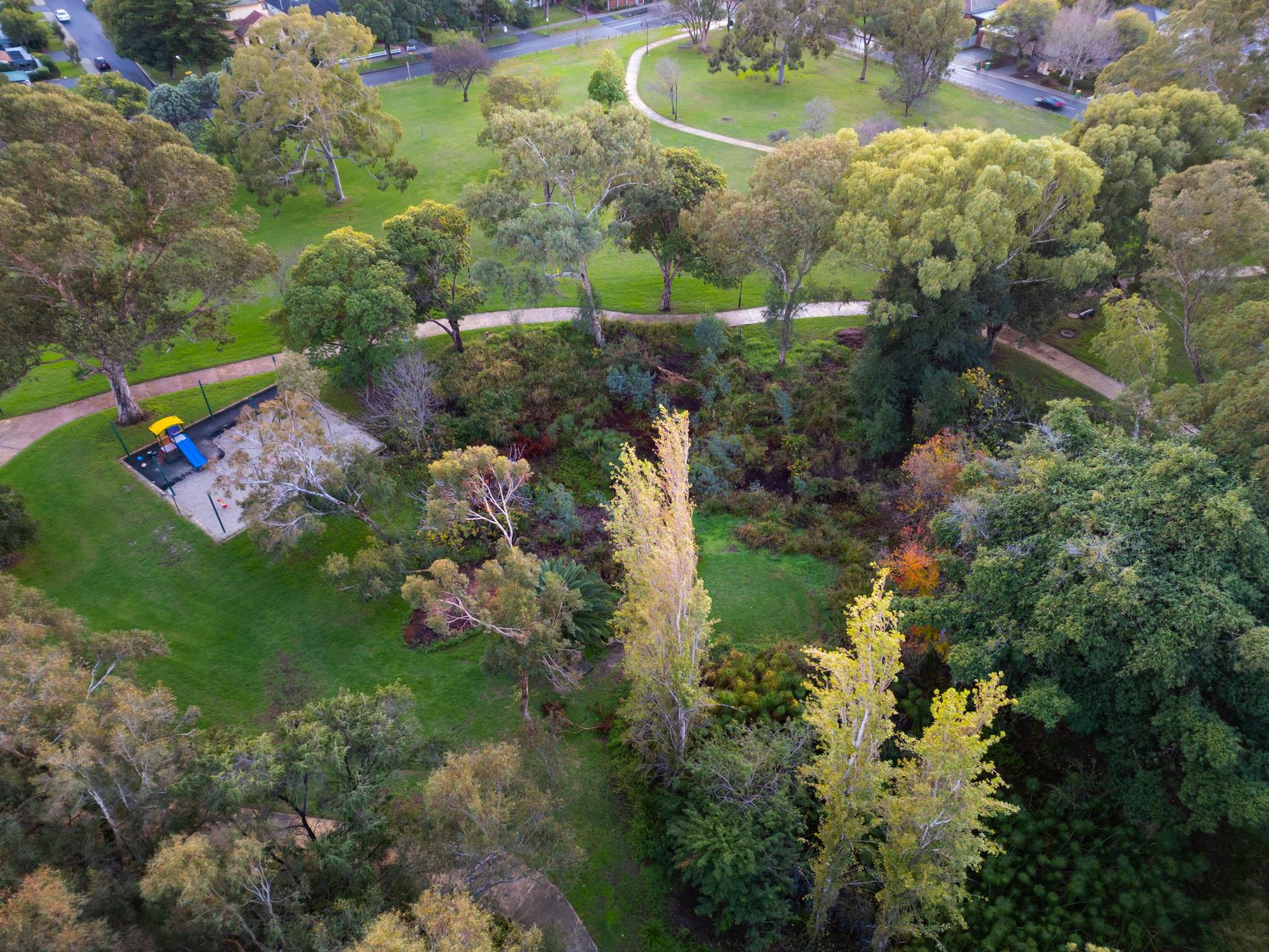 City of Nedlands plans for sustainable parks amid groundwater reductions