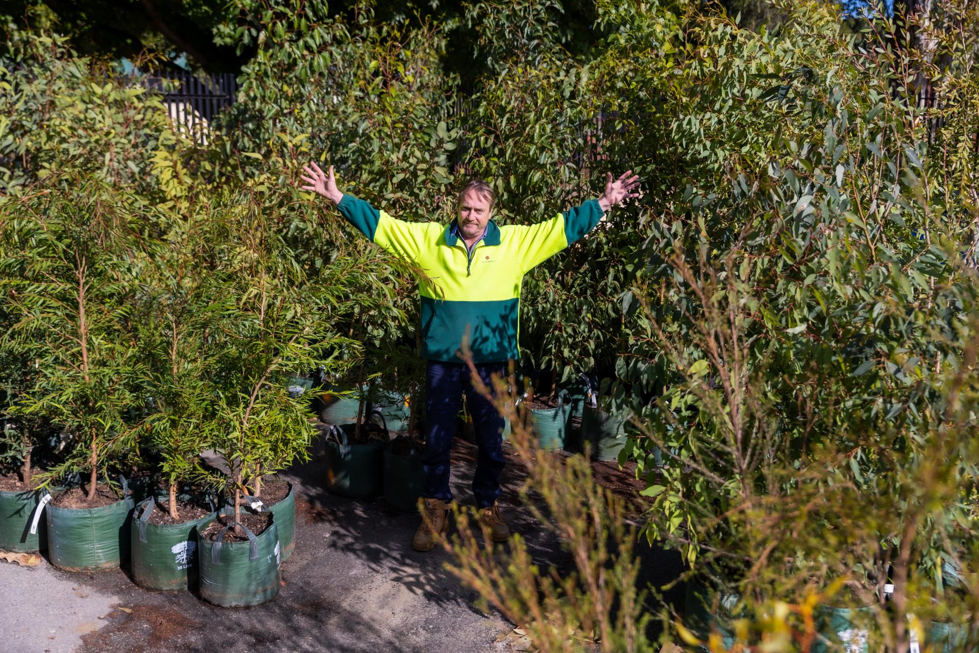City of Nedlands secures WA Tree Recovery Program funding to restore