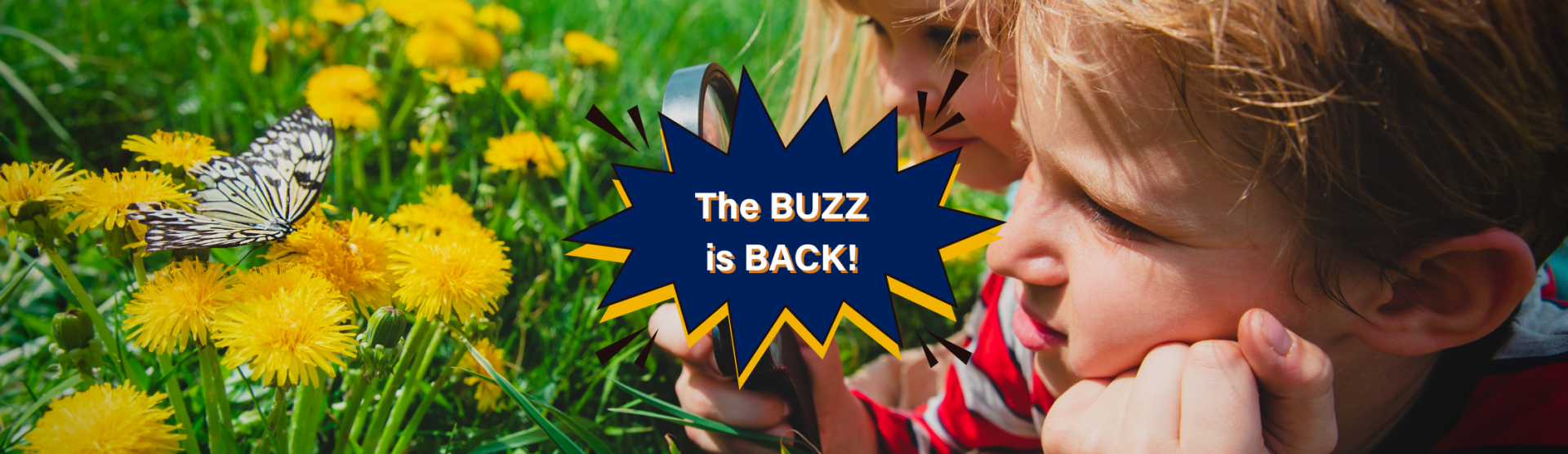 The BUZZ is BACK!