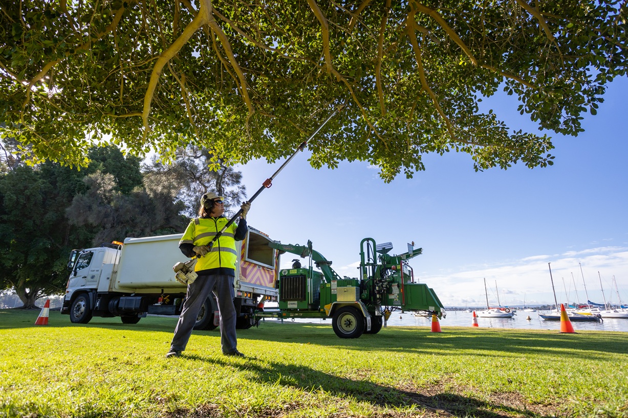 Request for Tender: Tree Pruning Services – Streetscapes, Powerline