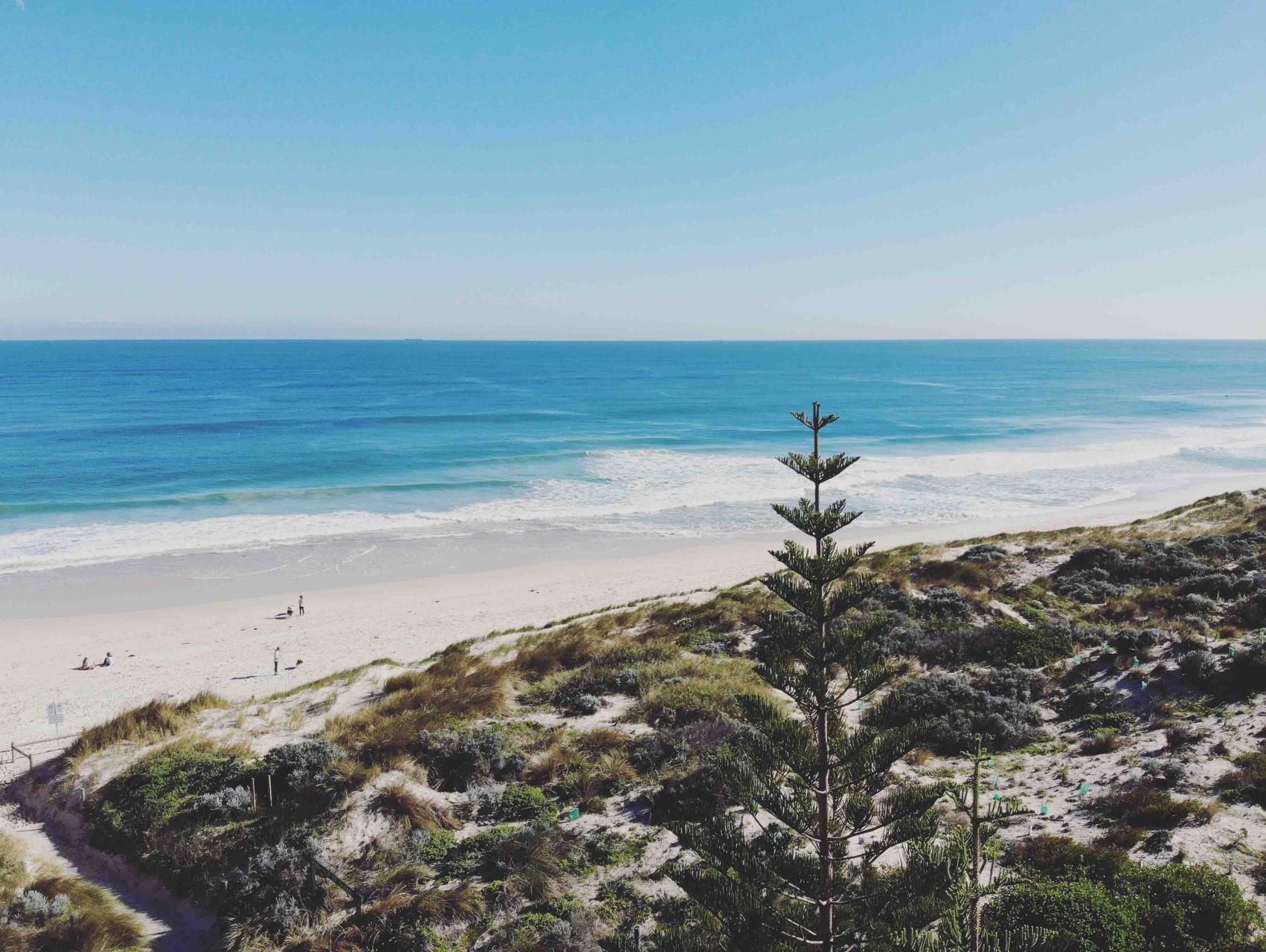 Swanbourne-Nedlands Surf Life Saving Club upgrade gets started