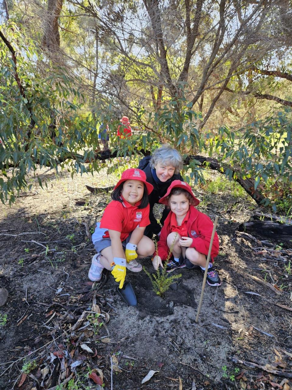 Hollywood Primary School Planting Day at Hollywood Reserve