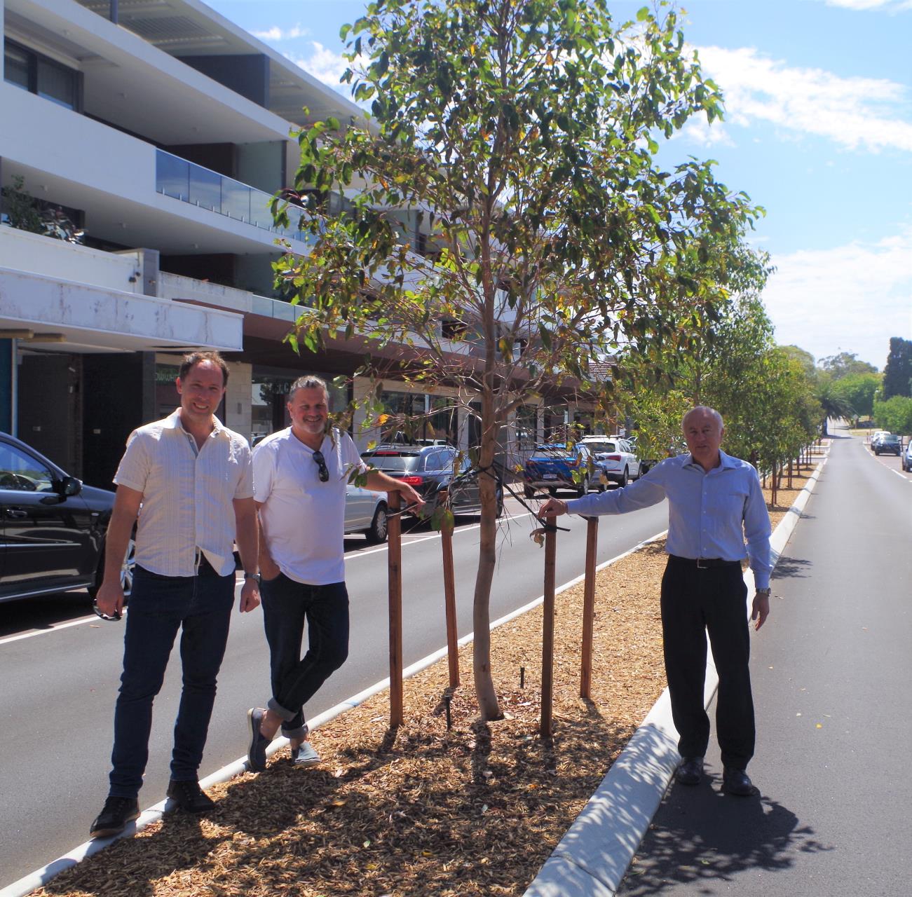 Waratah Ave Upgrade Completed